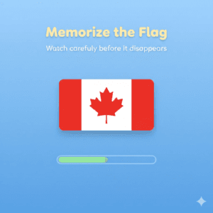 flag memory game screen with yellow instruction text and countdown timer