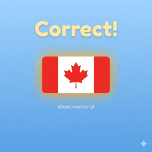 flag memory game success screen with yellow correct text